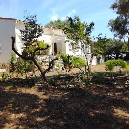 Bonifacio, Maison 90M² Sous Les Oliviers, Vue Sardaigne Bonifacio  Luaran gambar