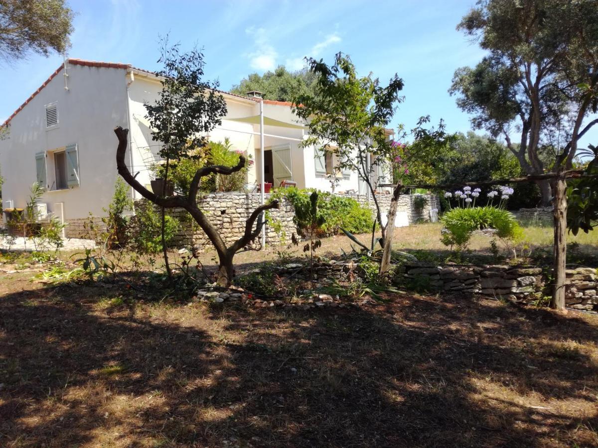 Bonifacio, Maison 90M² Sous Les Oliviers, Vue Sardaigne Bonifacio  Luaran gambar