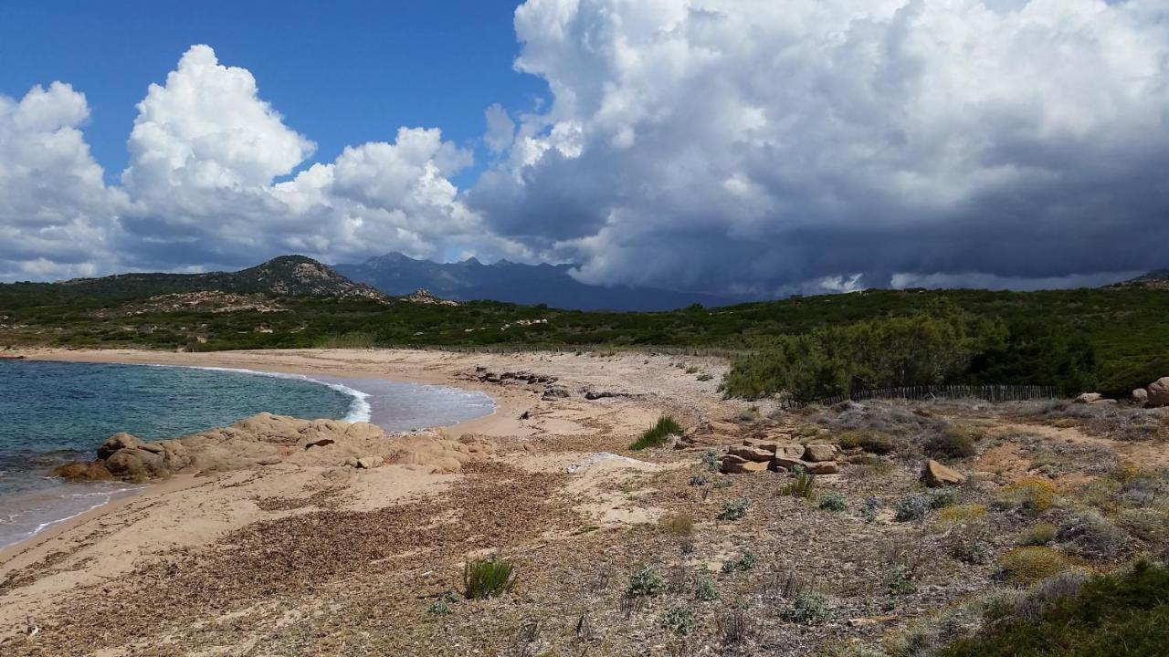 Bonifacio, Maison 90M² Sous Les Oliviers, Vue Sardaigne Bonifacio  Luaran gambar