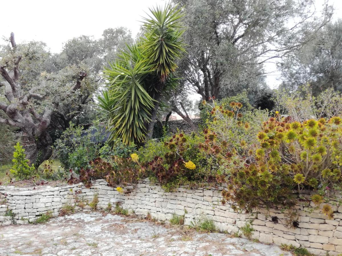 Bonifacio, Maison 90M² Sous Les Oliviers, Vue Sardaigne Bonifacio  Luaran gambar