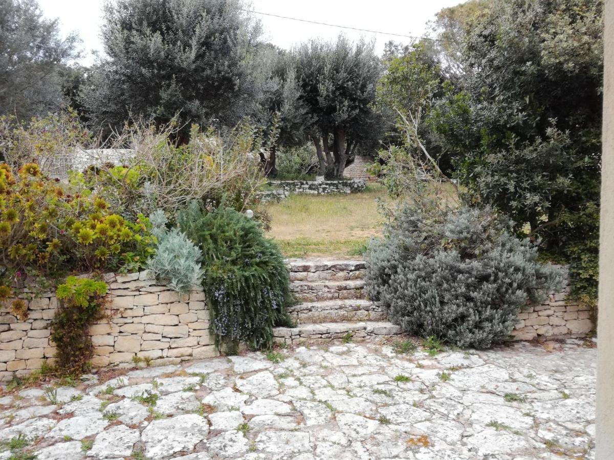 Bonifacio, Maison 90M² Sous Les Oliviers, Vue Sardaigne Bonifacio  Luaran gambar
